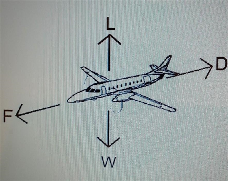 In this diagram, which force is represted by L? a. the force caused by the wings encoutering-example-1