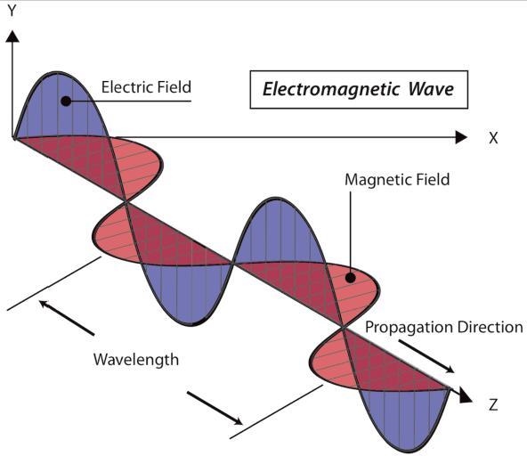 What is true about the electric and magnetif fields as the electromagnetic wave moves-example-1