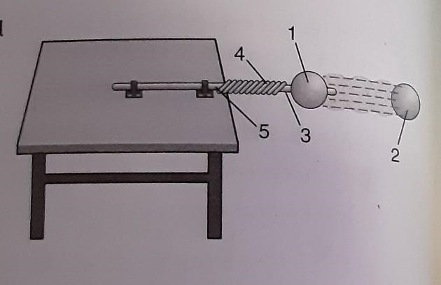 1. Luis is studying motion. He is using two balls-Ball 1 and Ball 2. The picture shows-example-1