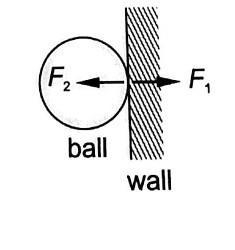 Define newton's 3rd law of motion-example-1