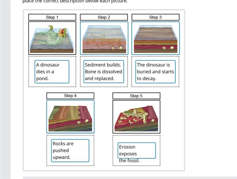 Complete the model to show how a dinosaur fossil forms. Drag each picture to the correct-example-1