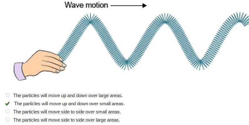 What is the motion of the particles in this kind of wave? A hand holds the left end-example-1