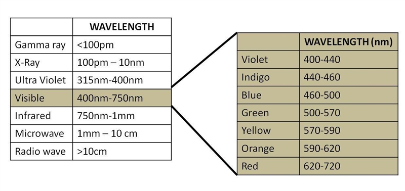 To Which of the following represents the relative order of wavelengths from least-example-1