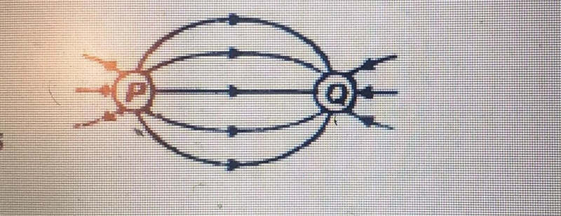 The diagram shows the electric field lines between two electrical charges P and Q-example-1