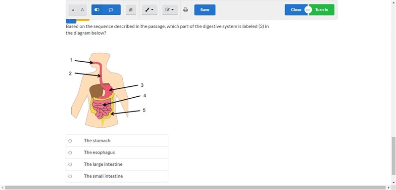 Science Based on the sequence described in the passage, which part of the digestive-example-1