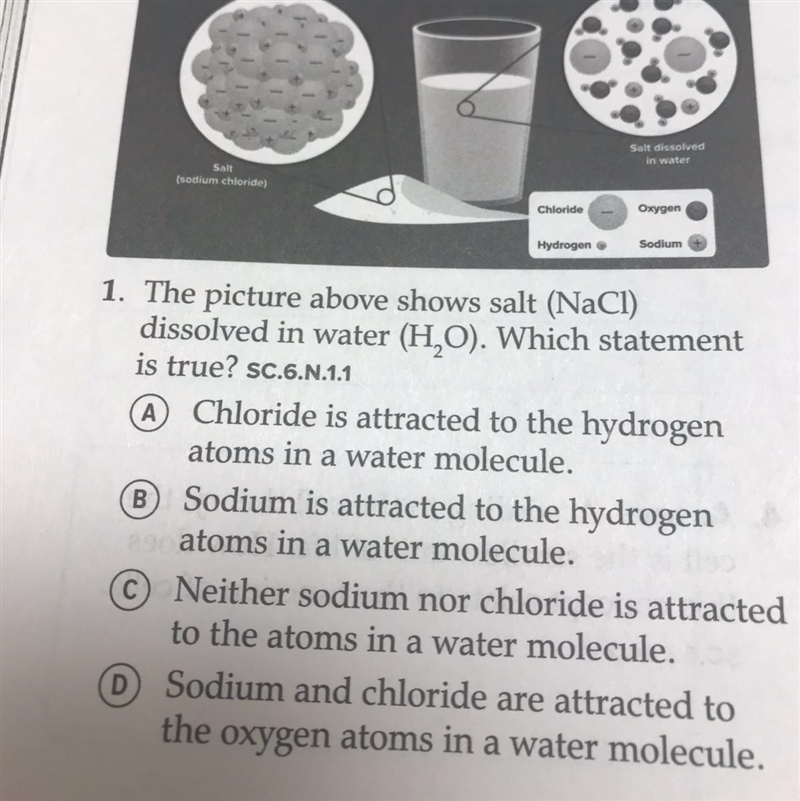 The picture above shows salt (NaCI) dissolved in water (H2O) which statement is true-example-1