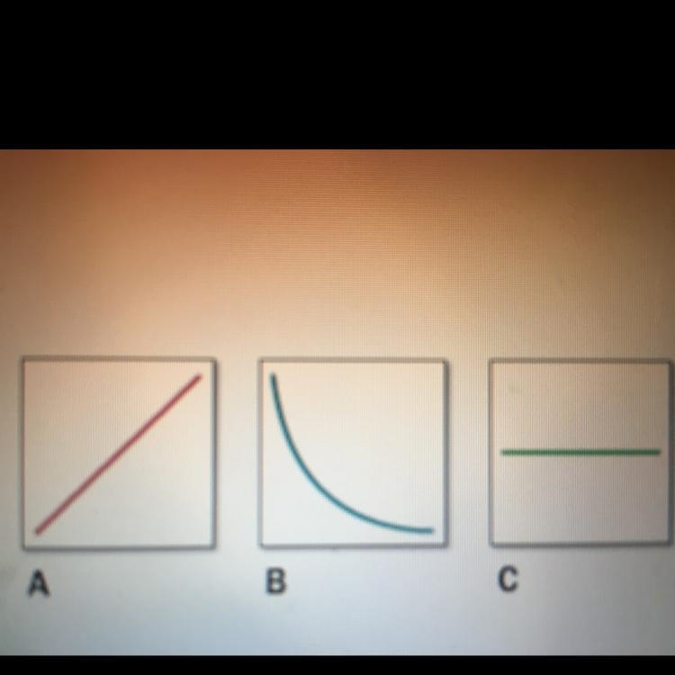 which graph represents what happens to the pressure in a tire as air is added to the-example-1