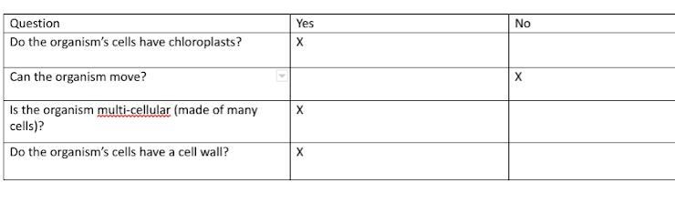 Anya is observing an organism in the laboratory. The table below shows her observations-example-1