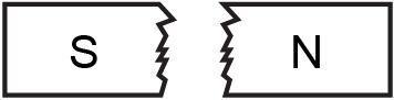 A bar magnet is cut in half, as shown. Which shows the pieces after the magnet is-example-1