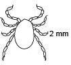 HELLO, I REALLY NEED HELP ON THIS QUESTION THANK YOU SO MUCH: An organism and its-example-1