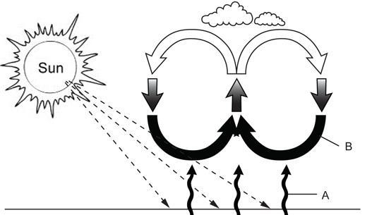 Most of the sun's radiation passes through Earth's atmosphere and is absorbed by land-example-1