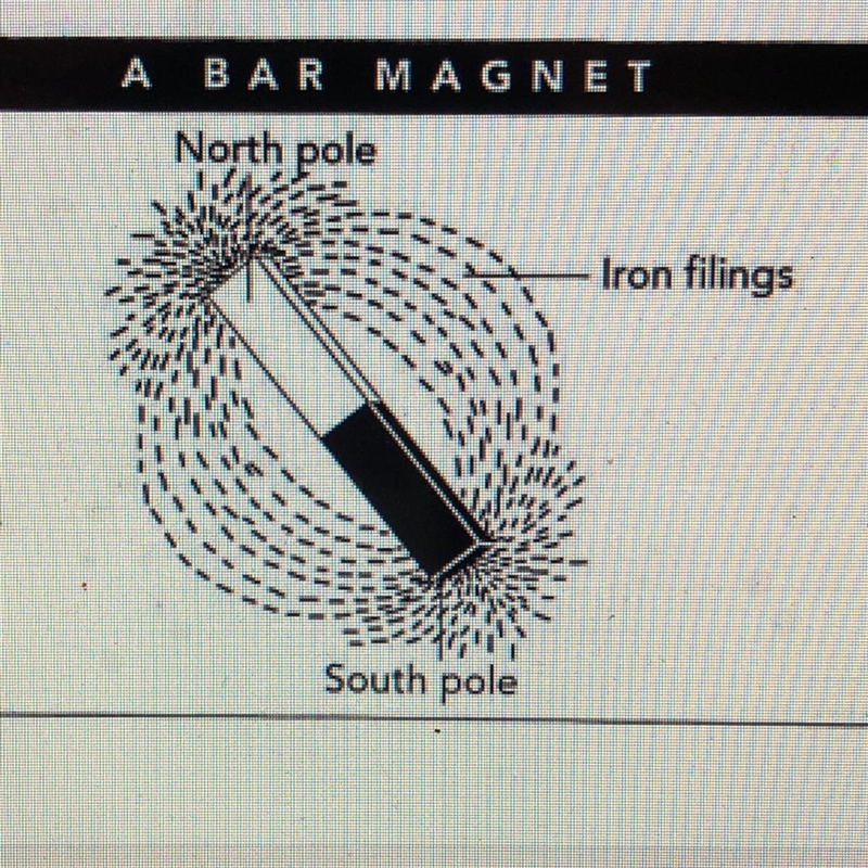 What do the iron filings around this magnet show?-example-1