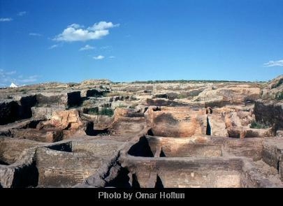 The remains of walls of many buildings of a city. This is a picture of the Catal Huyuk-example-1