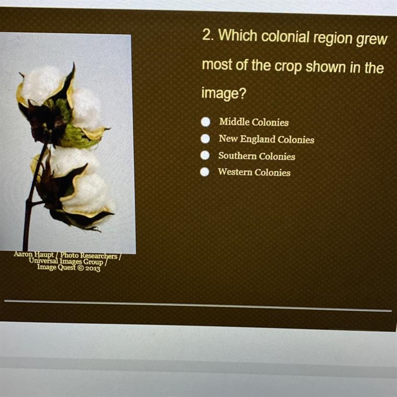 Which colonial region grew most of the crop shown in the image? Middle Colonies New-example-1