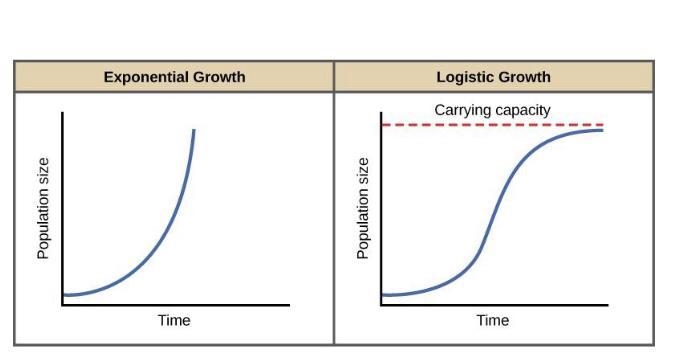 15. Which ideas predicted greater famines from overpopulation and carrying capacity-example-1