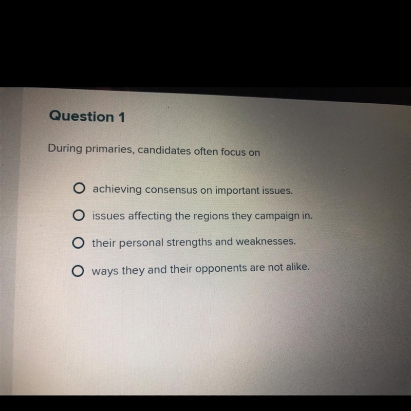 During primaries, candidates often focus on achieving consensus on important issues-example-1