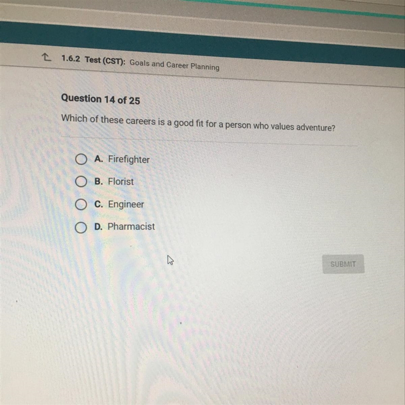 Question 14 of 25 Which of these careers is a good fit for a person who values adventure-example-1