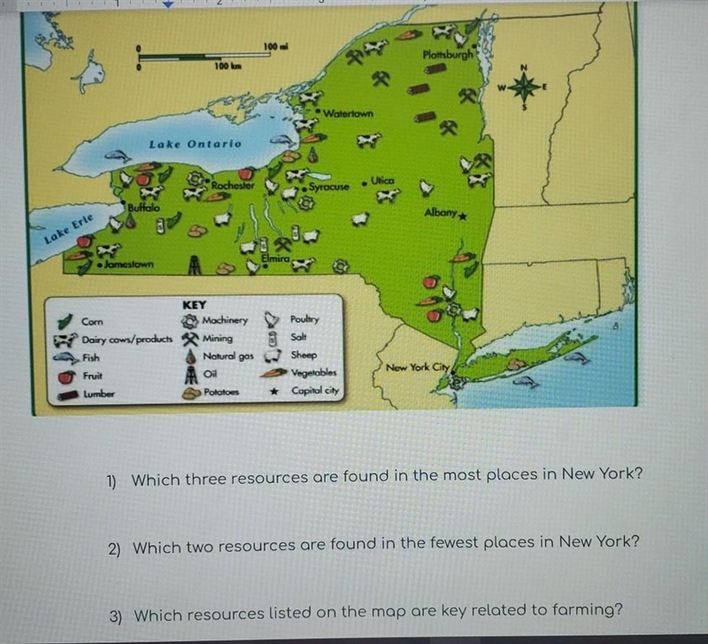 1) Which three resources are found in the most places in New York?​-example-1