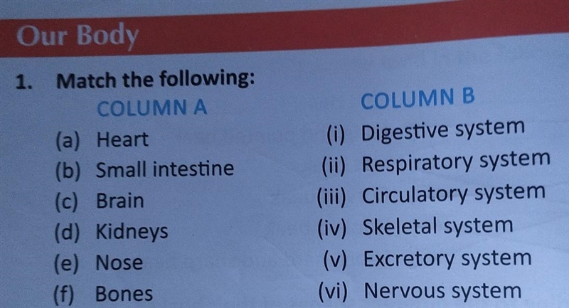 Our Body 1. Match the following: COLUMNA (a) Heart (b) Small intestine (c) Brain (d-example-1