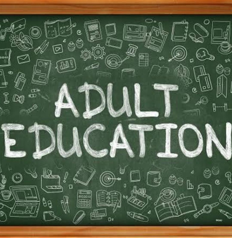 How can we develop adult education in Nigeria?-example-1