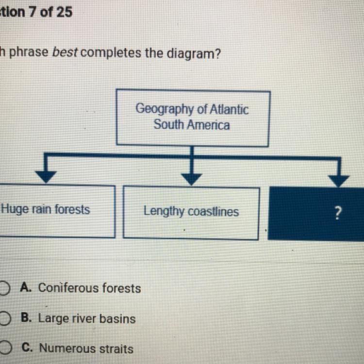 Which phrase best completes the diagram? A. Coniferous forests B. Large river basins-example-1