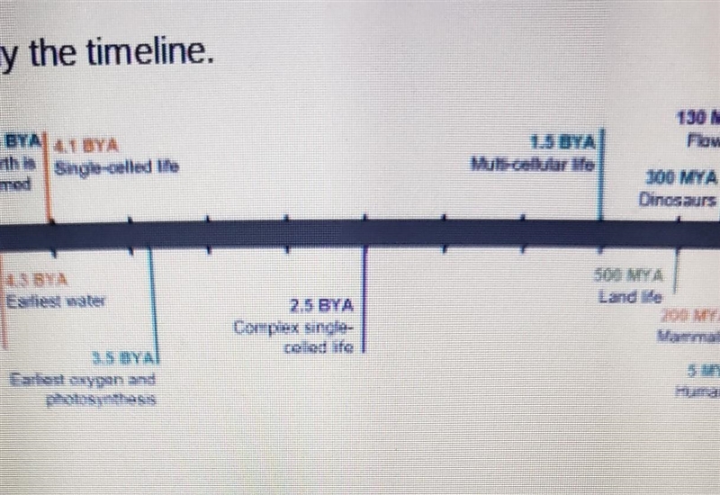 Based on fossil evidence, about how long ago did the first single-celled life form-example-1