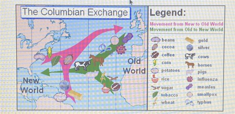 Which of these is the most accurate name for this graph? A. Colombian Exchange: Livestock-example-1