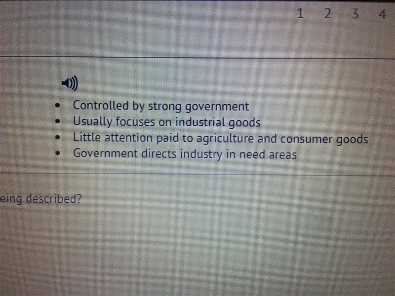 What economic system is being described?-example-1