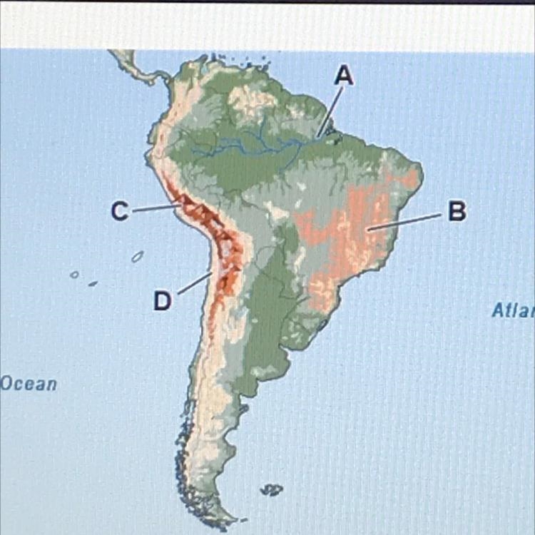 Which letter on the map identifies the location of the Andes Mountains? A B C D-example-1