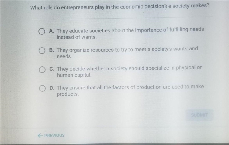 What role do entrepreneurs play in economic decisions a society makes?​-example-1