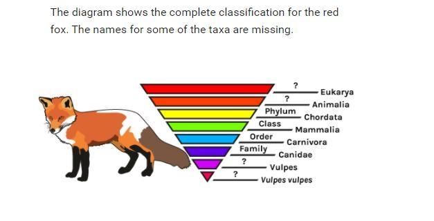 HELP ME PLZZ I NEED HELP WITH THIS!!-example-1