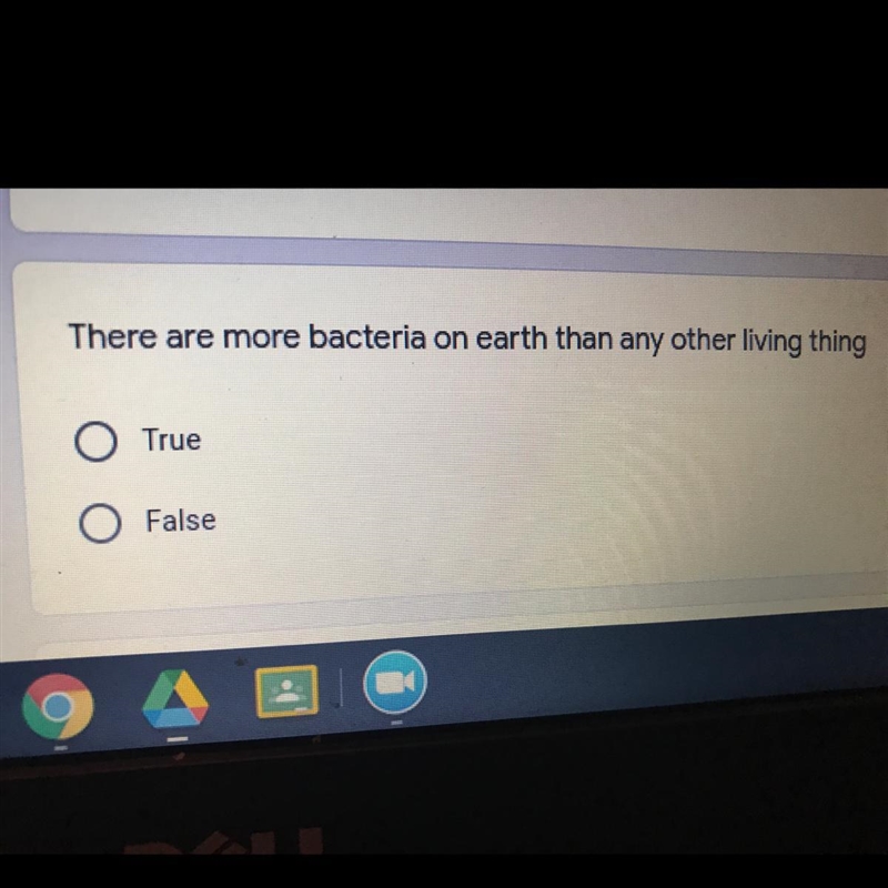 There are more bacteria on earth than any other living thing O True O False-example-1