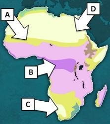 Which of the following ecosystems is located in Region C on the map? A. the Sahara-example-1