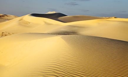 These are the Monahans Sandhills in west Texas. Which process is most likely directly-example-1