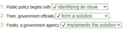 Public policy begins with . 2.Then, government officials . 3.Finally, a government-example-1