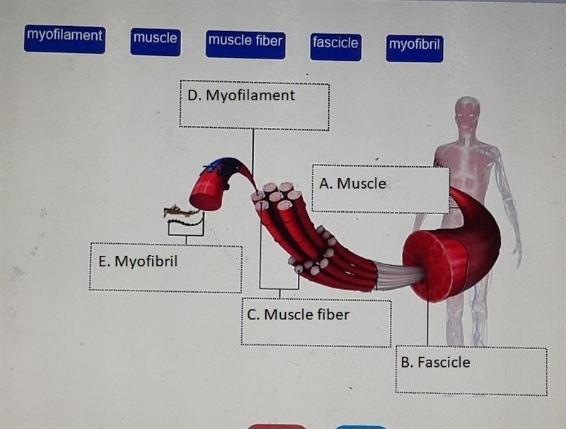 Can someone please help ​-example-1