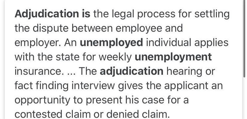 What does adjudication in progress mean for unemployment-example-1