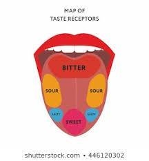 Foods that are potentially poisonous or inedible can often be detected by the ________ taste-example-1