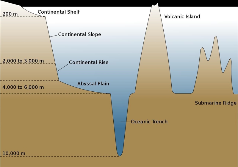 The correct order of seafloor features from the coastline to the mid-ocean ridge is-example-1