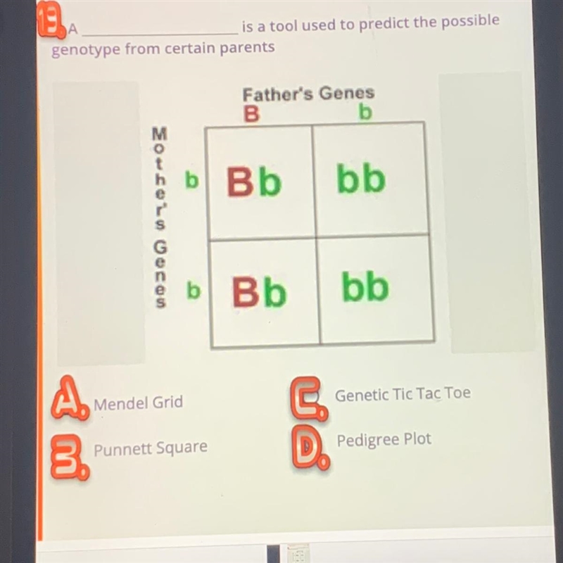 Helppp A _________ is a tool used to predict the possible genotype from certain parents-example-1