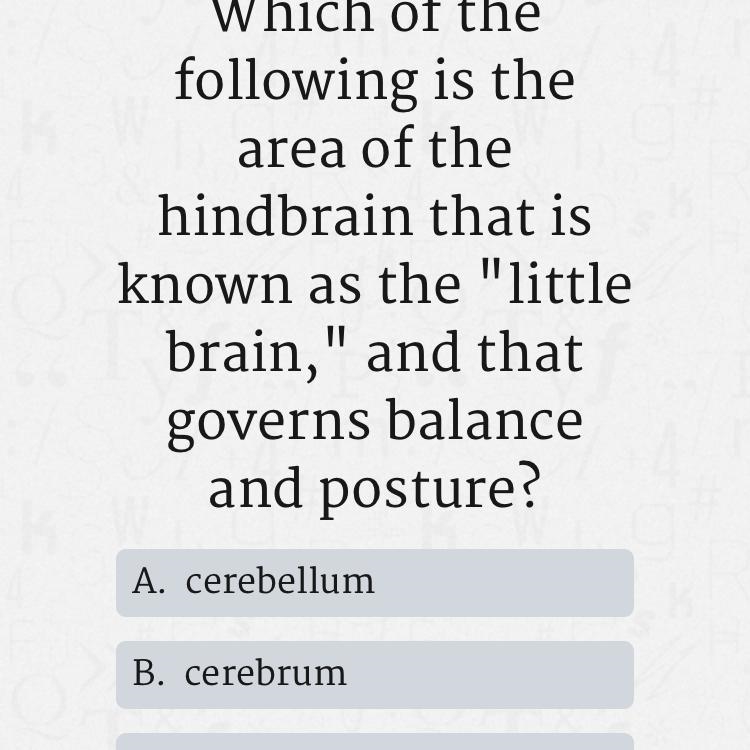 C. Cerebral cortex if you can’t see it-example-1