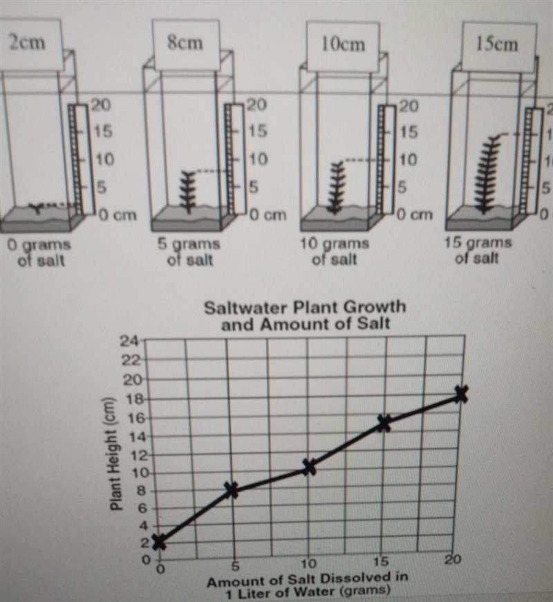 What kind of graph is this​-example-1