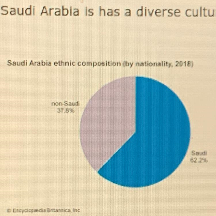 Saudi Arabia is has a diverse culture. false true-example-1