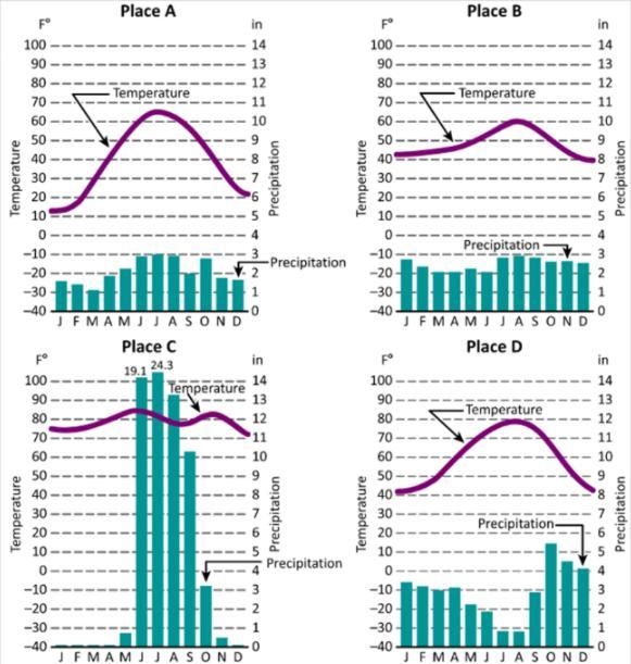 Based on the four climate graphs, which place has the greatest variation in average-example-1