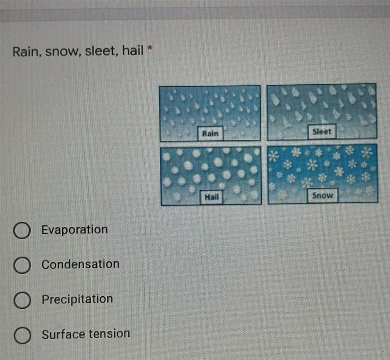 Rain, snow, sleet, hail * Snow O Evaporation O Condensation Precipitation O Surface-example-1