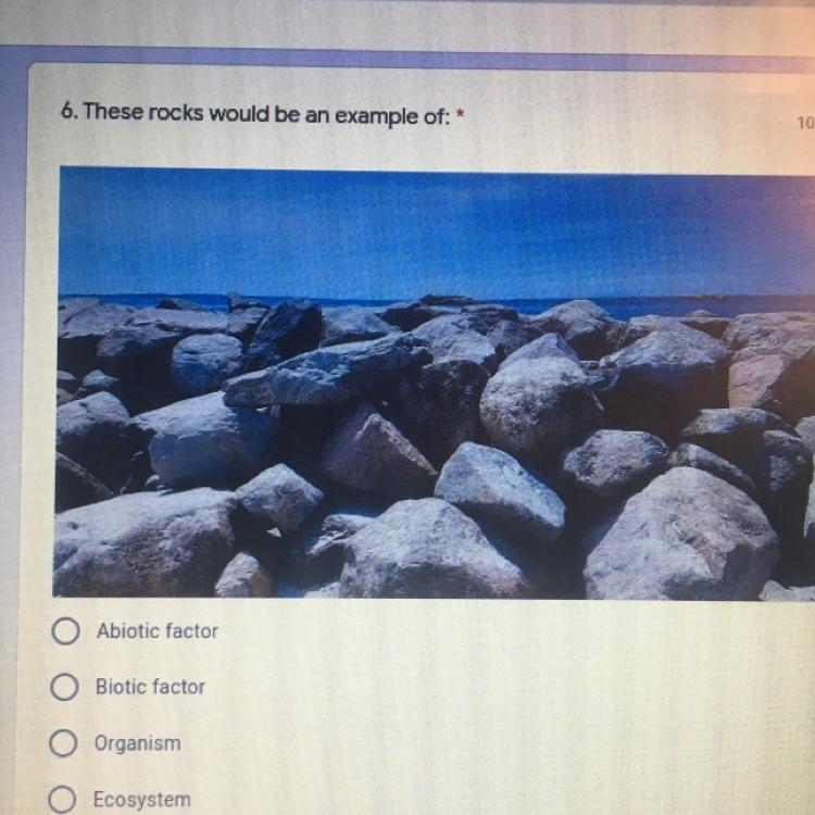 What would these rocks be an example of?-example-1