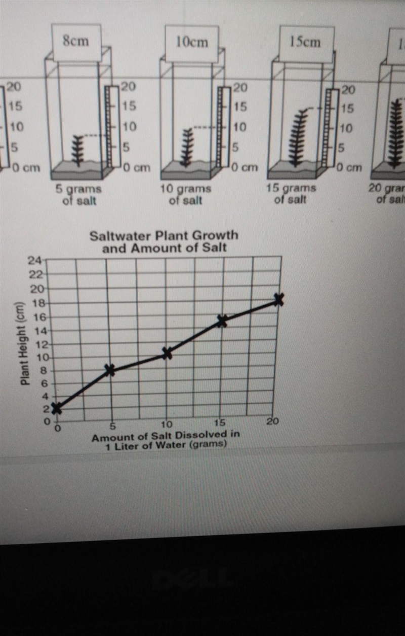 How tall is the plant with 10g of salt?​-example-1