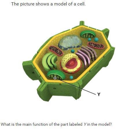 HELP ME PLZZ I NEED HELP WITH THIS!!!-example-1