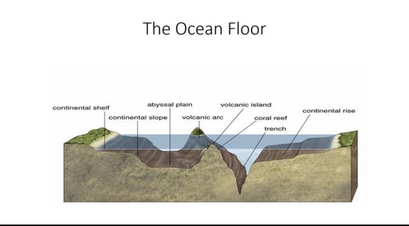 What are the first three parts of the ocean floor?-example-1