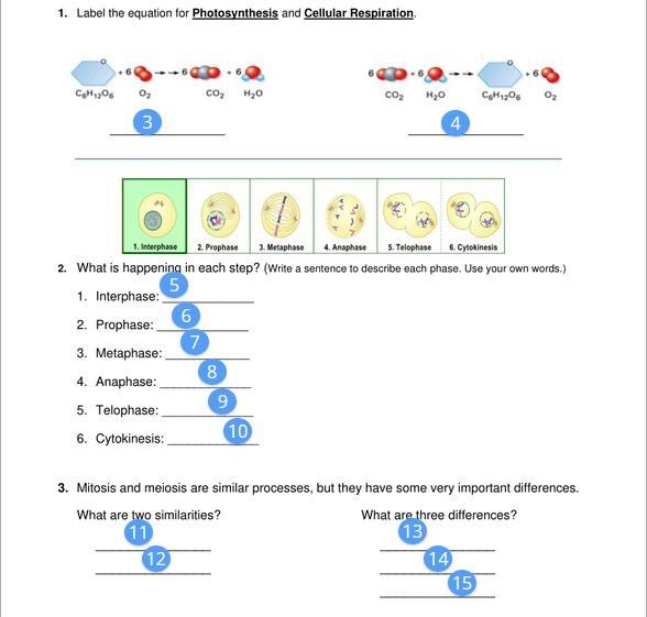 100 POINTS!! PLEASE HELP ASAP!!! I CAN ONLY ADD 5 PICTURES SO PLEASE ANSWER FOR 15 TOO-example-1